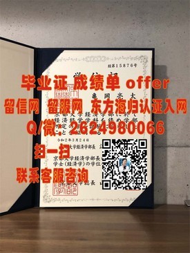 《荷兰萨克逊大学文凭解析：揭秘真实含金量与求职优势》
