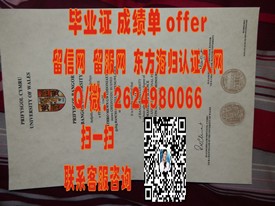 《首尔产业大学证书解析：揭秘真实学位含金量与求职优势》