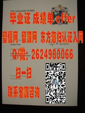 《里昂第一大学官方认证毕业证解析：权威学历证明，留学求职必备》