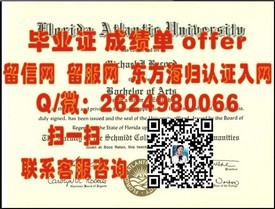 《法国里昂第一大学学历认证详解：毕业证获取攻略及含金量揭秘》
