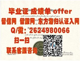《东京大学毕业证背后的荣耀：揭秘名校学位的含金量与求职优势》
