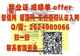 《东京艺术大学文凭揭秘：艺术精英的专属荣耀与求职敲门砖》