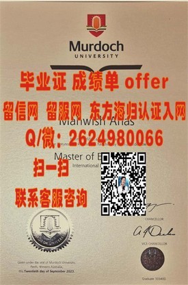 《解锁丹麦南丹麦大学学位魅力：全面解析毕业证含金量》