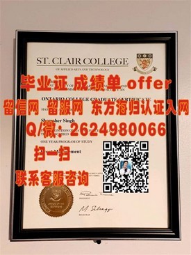 《九州国际大学学历认证解析：如何辨别真实毕业证书》