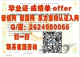 《九州国际大学认证学位详解：获取全球认可的毕业证之路》
