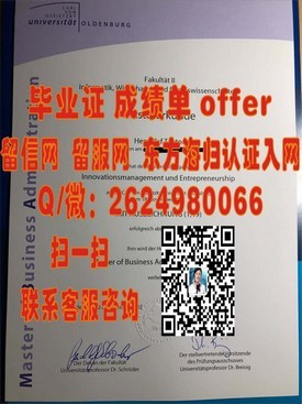 《荷兰萨克逊大学学历认证：权威解读与申请攻略》