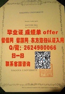 《荷兰格罗宁根大学证书解析：国际认可与求职优势全揭秘》