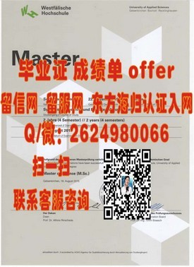 《伊尔梅瑙工业大学毕业证：权威认证，留学归国求职必备》