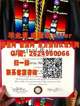 《揭秘伊尔梅瑙工业大学毕业证含金量：全球认可的学历证书背后的故事》