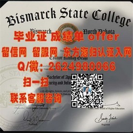 《荷兰格罗宁根大学官方毕业证书详解：权威认证，开启国际职场新篇章》