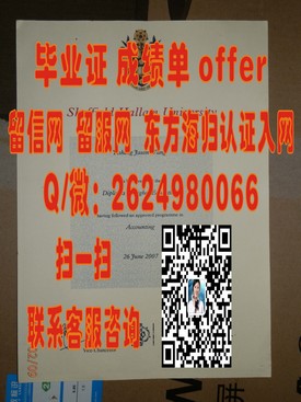 《千叶工业大学毕业证解析：权威认证背后的留学价值揭秘》