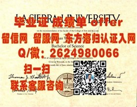 《荷兰格罗宁根大学学历认证，揭秘真实毕业证样本及申请攻略》