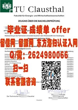 《德蒙特福特大学学位认证揭秘：获取真伪辨别的关键指南》