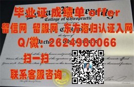 《索尔福德大学认证学位详解：获取国际认可的毕业证书之路》