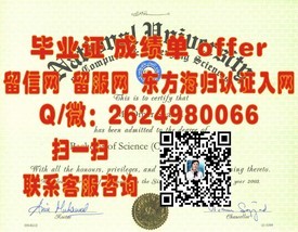 《荷兰萨克逊大学文凭解析：获取荷兰顶尖学府认证的秘诀与价值》