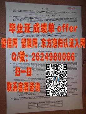 《东京大学证书背后的故事：揭秘全球顶尖学府的荣耀通行证》