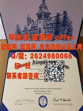 《佛罗里达理工学院毕业证解析：学位认证与职场竞争优势揭秘》