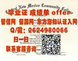 《韦恩州立大学学位证书揭秘：留学归国生的职场敲门砖》
