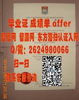 《法国兰斯大学文凭揭秘：真实体验与权威认证解读》