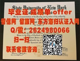 《里昂第一大学认证学历：揭秘真实毕业证含金量与申请攻略》