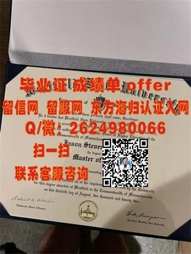 《东京理科大学文凭解析：揭秘真实含金量与求职优势》