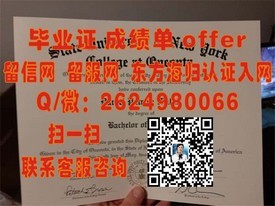 《揭秘新罗大学真伪：如何辨别与获取正规毕业证书》