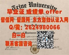 都柏林大学圣三一学院毕业证书解析：权威详解与真实样本曝光！