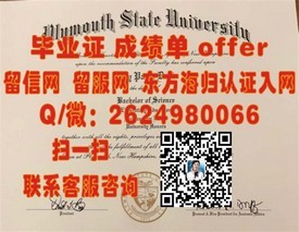 《揭秘德国伊尔梅瑙工业大学毕业证含金量，留学必备认证揭秘》