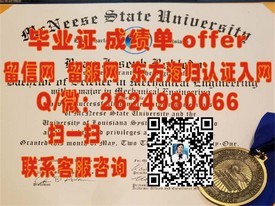 《麻省大学毕业证含金量揭秘：如何获取这所世界顶尖学府的认证证书？》
