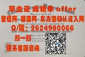 《瓦尔帕莱索大学学历认证揭秘：如何获取权威的毕业证书》