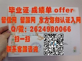 《首尔大学证书背后的含金量：揭秘顶尖学历的全球认可度》