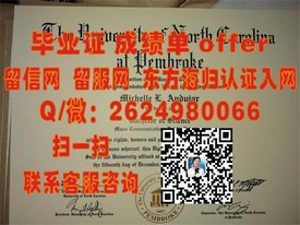 《东京大学毕业证书：揭秘名校荣耀背后的真实价值与认可度》