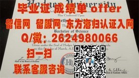 《梨花女子大学认证攻略：揭秘真实毕业证书的含金量与价值》