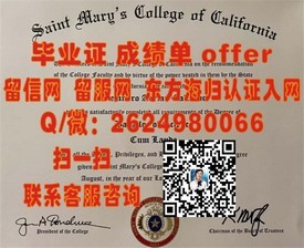 《里昂第一大学证书解析：权威学历认证，留学归国求职必备！》