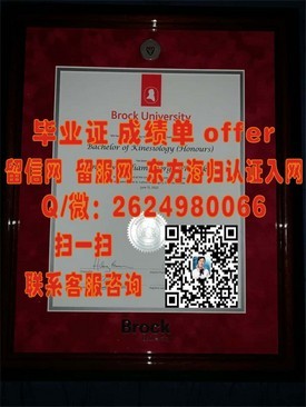 《马来西亚林登大学文凭解析：真实认证与求职优势全揭秘》