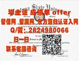 《东京艺术大学文凭背后的故事：揭秘真实毕业证含金量与价值》