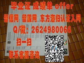 《解锁海外学历：南澳大学毕业证书，国际认可的学术通行证》
