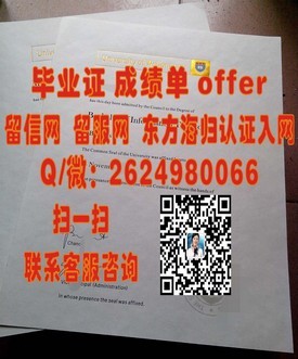 《新布伦瑞克大学毕业证详解：获取国际认可的途径与价值揭秘》