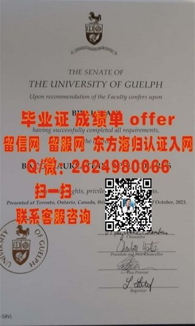 《东京大学毕业证：揭秘名校学历背后的含金量与求职优势》