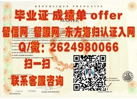 《九州国际大学学位证书详解：如何获得国际认可的学历凭证》