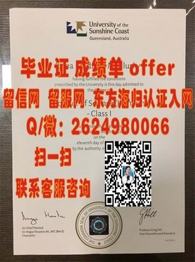 《伊尔梅瑙工业大学毕业证解析：详解学历认证的权威与价值》