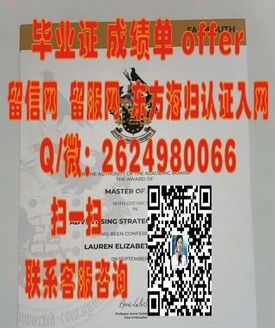 《揭秘苏塞克斯大学真迹：获取毕业证书的全面指南与真实案例分享》