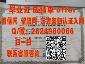 《大阪教育大学文凭背后的价值：揭秘真实学历含金量与就业优势》
