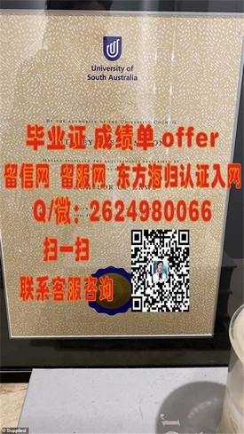 《纽约州立大学认证学位详解：掌握留学回国就业金钥匙》