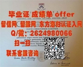 《东京理科大学毕业生揭秘：如何获取含金量高的毕业证书》