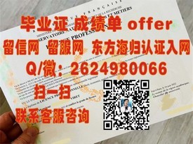 《揭秘德国伊尔梅瑙工业大学毕业证含金量：如何助力国际职场发展》