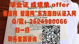 《夏威夷大学玛诺分校毕业证背后的故事：揭秘真实学位含金量与就业前景》