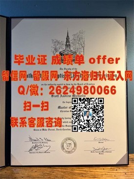 《韦恩州立大学学位证书揭秘：留学归国就业优势全解析》
