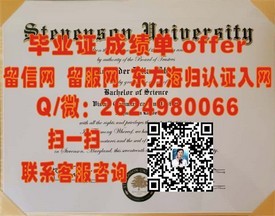《揭秘拉夫堡大学文凭魅力：全球认可的教育成就证书解析》