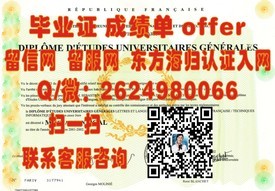 《千叶大学毕业生荣耀见证：探索真实学历证书背后的故事》